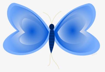 Borboleta Png, Transparent Png, Transparent PNG