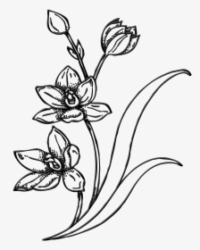 Drawing Spring Garden, HD Png Download, Transparent PNG