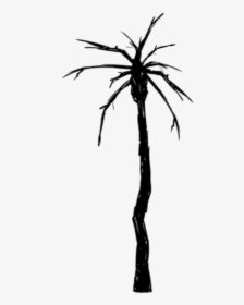 Palm Tree Black And White Png, Transparent Png, Transparent PNG