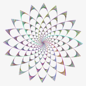 Flower,leaf,symmetry, HD Png Download, Transparent PNG