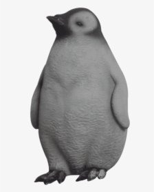 Penguin Young Bird Statue Life Size Prop Decor- Lm, HD Png Download, Transparent PNG