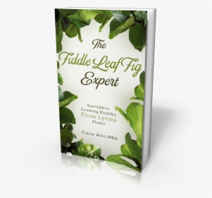The Fiddle Leaf Fig Book Has A New Cover And A Lower, HD Png Download, Transparent PNG