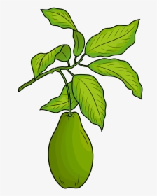 Fig Leaf Png, Transparent Png, Transparent PNG