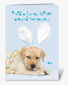 Yellow Labrador Retriever Easter Bunny Greeting Card, HD Png Download, Transparent PNG
