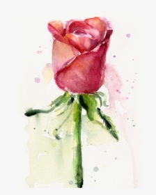Watercolor Roses Png, Transparent Png, Transparent PNG