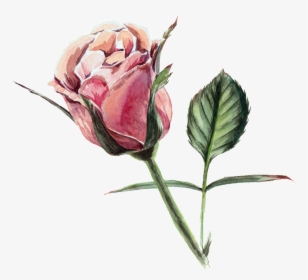 Rose Transparent Watercolor Flowers, HD Png Download, Transparent PNG