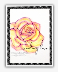Lazy Watercolor Effect Concord & 9th Rose By Understand, HD Png Download, Transparent PNG