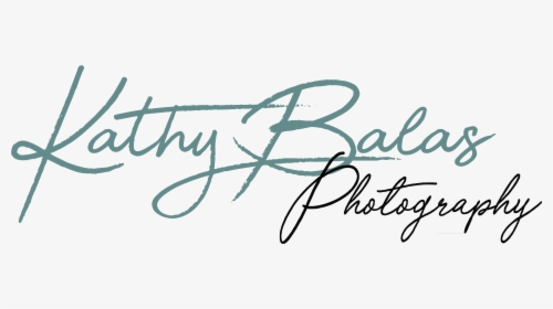 Balas Png, Transparent Png, Transparent PNG