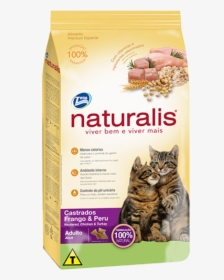 Gatos Png, Transparent Png, Transparent PNG