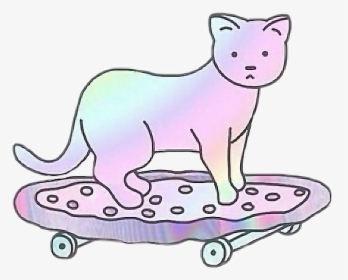 #cat #gatos #skate #colors #tumblr #freetoedit, HD Png Download, Transparent PNG