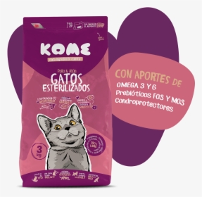 Gatos Png, Transparent Png, Transparent PNG