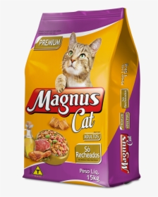 Gatos Png, Transparent Png, Transparent PNG