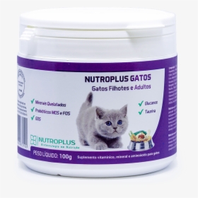 Gatos Png, Transparent Png, Transparent PNG