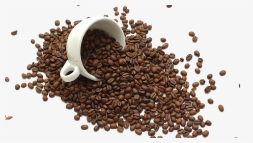 Instant Coffee Tea Coffee Bean Coffee Roasting, HD Png Download, Transparent PNG