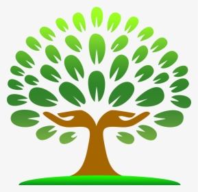 Transparent Tree Clipart, HD Png Download, Transparent PNG