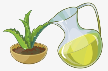 Aloe Succulent Plant, HD Png Download, Transparent PNG