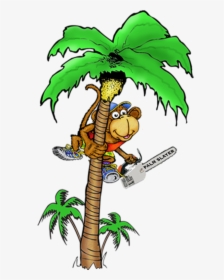 Coconut Tree With Monkey Cartoon Png, Transparent Png, Transparent PNG