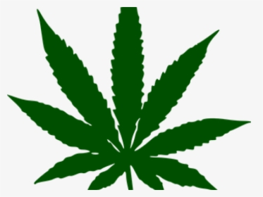 Weed Plant Cartoon, HD Png Download, Transparent PNG