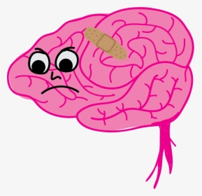 Transparent Brain, HD Png Download, Transparent PNG