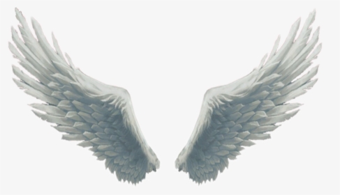 #big #beautiful #white #fluffy #wings #angelwings #angel, HD Png Download, Transparent PNG