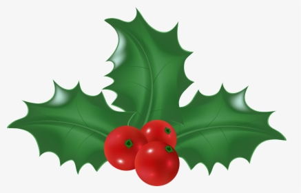 Mistletoe Clipart Holly, HD Png Download, Transparent PNG