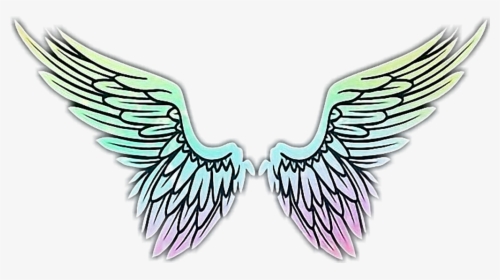#wings #angel #flügel #engel #engelflügel #schön #beautiful, HD Png Download, Transparent PNG