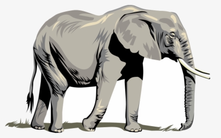 Elephant Free Elephants Images Clip Art On Transparent, HD Png Download, Transparent PNG