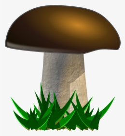 Fairies Gnomes And Mushrooms Clip Art Vector - Clipart Mushroom, HD Png Download, Transparent PNG