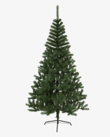 Christmas Tree Kanada - Wilko Christmas 7ft Canadian Fir Tree, HD Png Download, Transparent PNG