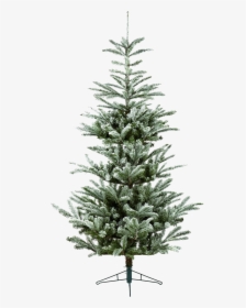 Fir Tree Png Hd Wallpaper - Buy 4 Foot Christmas Tree Nz, Transparent Png, Transparent PNG