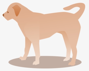 Companion Dog,tail,carnivoran - Ancient Dog Breeds, HD Png Download, Transparent PNG