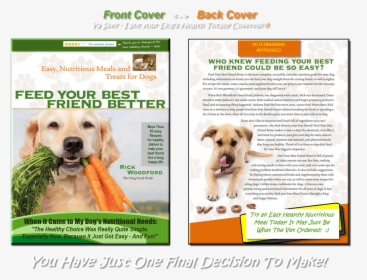 Transparent Dog Tail Png - Companion Dog, Png Download, Transparent PNG