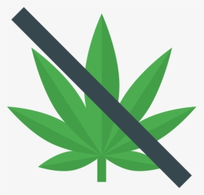 No Drugs Icon - Label Background, HD Png Download, Transparent PNG