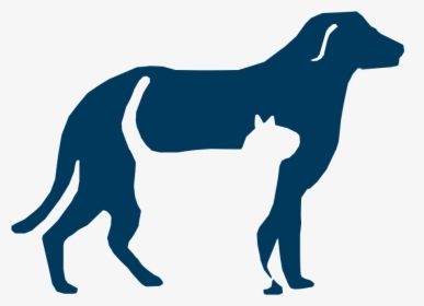 Breed,carnivore,clip Art,sporting Group,english Foxhound,great - Shepherdsville Animal Hospital, HD Png Download, Transparent PNG