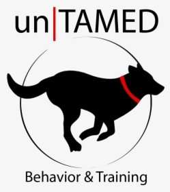 Untamed2trans - Dog Catches Something, HD Png Download, Transparent PNG