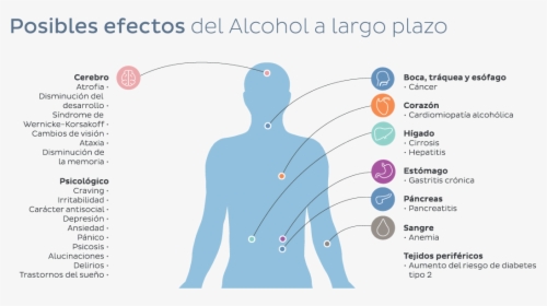 El Consumo De Alcohol Y Drogas Aumenta En Verano - Cocaïne Risico's, HD Png Download, Transparent PNG