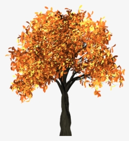 Tree, Leaves, Autumn, Fall, Branches, Isolated, Nature - Tall Fall Tree Clipart, HD Png Download, Transparent PNG