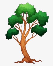 Memories Clipart Colorful Tree - Various Trees, HD Png Download, Transparent PNG