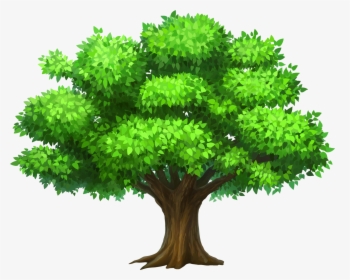 Tree Clipart, HD Png Download, Transparent PNG