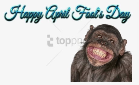 Funny Mouth Png - Happy Birthday To You Funny, Transparent Png, Transparent PNG