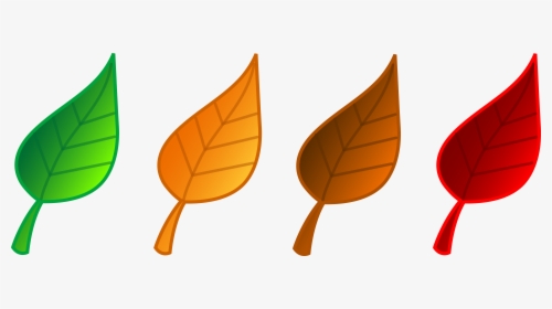Set Of Four Tree Leaves - Colored Leaves Clip Art, HD Png Download, Transparent PNG