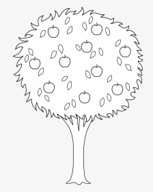 Transparent Colorful Tree Png - Orange Tree Clipart Black And White, Png Download, Transparent PNG
