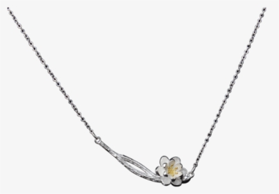 Luo Linglong S925 Sterling Silver Necklace Fashion - Necklace, HD Png Download, Transparent PNG