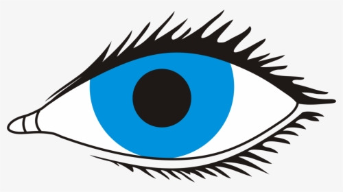 Eye,organ,eyelash - Eye Clipart Transparent Background, HD Png Download, Transparent PNG
