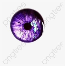 Glasses Purple Vector - Iris Drawing Eye, HD Png Download, Transparent PNG