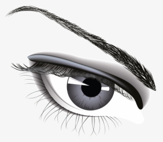 Eyelash Png - Pencil Eye Donation Drawing, Transparent Png, Transparent PNG