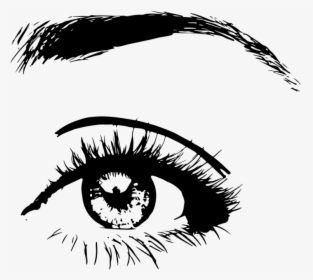 Transparent Eye Brows Png - Глаз С Ресницами Пнг, Png Download, Transparent PNG