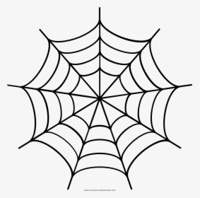 Spider Web Drawing Transprent - Spider Web Clipart Black And White, HD Png  Download , Transparent Png Image - PNGitem