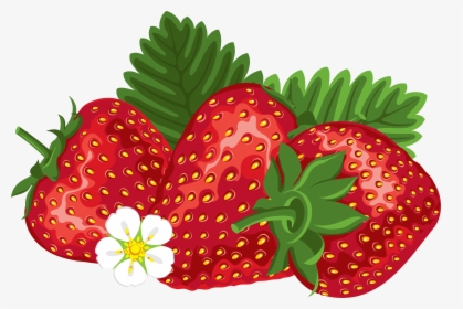 Strawberry Png Images - Transparent Strawberry Clipart Png, Png Download, Transparent PNG