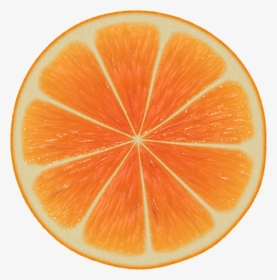 Orange,citric Acid,valencia - Half Cut Orange, HD Png Download, Transparent PNG